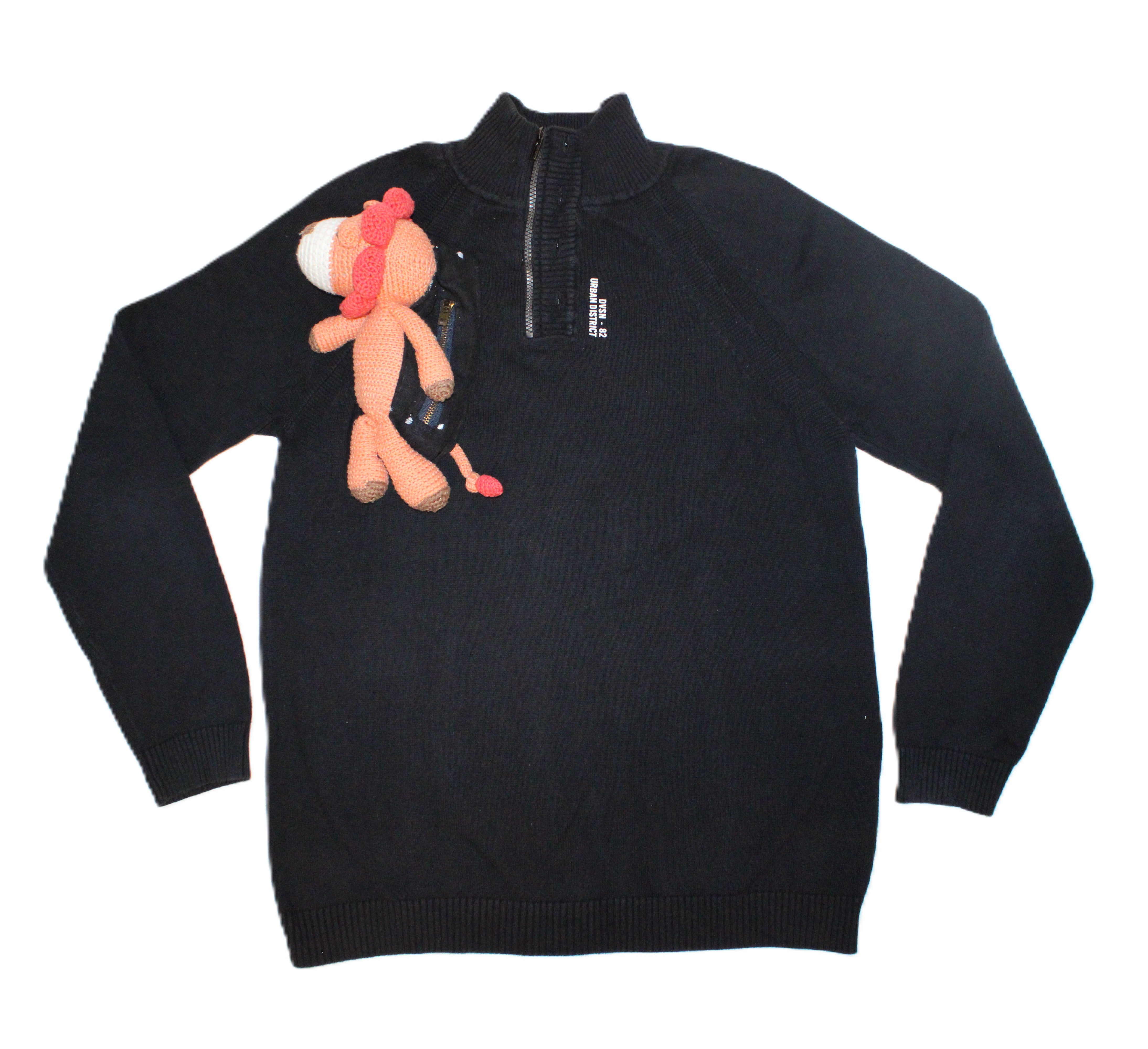 Teddy on a pocket
